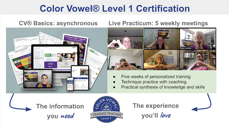 Basics Level 1 need love